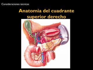 Consideraciones tecnicas 
Anatomia del cuadrante 
superior derecho 
portal triad 
 