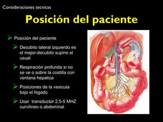 Consideraciones tecnicas 
Posición del paciente 
Posición del paciente 
Decubito lateral izquierdo es 
el mejor-decubito supino el 
usual 
Respiración profunda si no 
se ve o sobre la costilla con 
ventana hepatica 
Posiciones de la vesicula 
bajo el higado 
Usar transductor 2,5-5 MHZ 
curvilineo o abdominal 
 