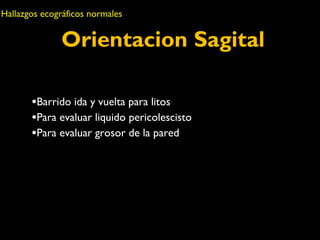 Hallazgos ecográficos normales 
Orientacion Sagital 
•Barrido ida y vuelta para litos 
•Para evaluar liquido pericolescisto 
•Para evaluar grosor de la pared 
QuickTime™ and a 
H.264 decompressor 
are needed to see this picture. 
 