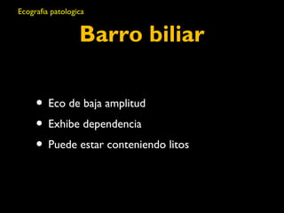 Ecografia patologica 
Barro biliar 
• Eco de baja amplitud 
• Exhibe dependencia 
• Puede estar conteniendo litos 
 