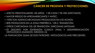 CÁNCER DE PROSTATA Y PROYECCIONES: 
• AFECTA PRINCIPALMENTE >50 AÑOS, 1 DE CADA 7 SE VEN AFECTADOS. 
• MAYOR RIESGO EN AFROAMERICANOS Y ANTEC. 
• >95% SON ADENOCARCINOMAS PRODUCIDOS EN LOS ACINOS. 
• 80% PRODUCIDOS EN LA ZONA PERIFÉRICA, 15% Z. TRANSISCIÓN. 
• OTROS CARCINOMA CEL DE TRANSICIÓN, SARCOMAS LINFOMAS 
• ES DESCRITO POR ESXTENSIÓN CLINICA (TNM) Y DESDIFERENCIACIÓN 
HISTOLOGICA (GLEASON: GRADOS I-5) 
LA PUNTUACIÓN: SUMA DE DOS PATRONES HISTOLÓGICOS MÁS FRECUENTES. 
 