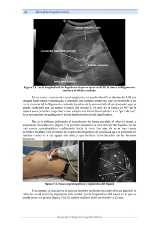 eCOGRAFIA CLINICA.pdf