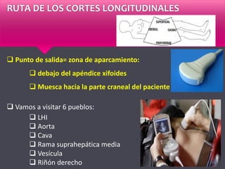 RUTA DE LOS CORTES LONGITUDINALES
 Punto de salida= zona de aparcamiento:
 debajo del apéndice xifoides
 Muesca hacia la parte craneal del paciente
 Vamos a visitar 6 pueblos:
 LHI
 Aorta
 Cava
 Rama suprahepática media
 Vesícula
 Riñón derecho
 