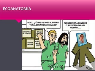 ECOANATOMÍA
 