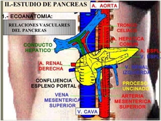 PLANTAS DE LOS CORTES TRANSVERSALES
 Punto de salida= zona de aparcamiento:
 debajo del apéndice xifoides
 Muesca hacia el hombro derecho del paciente
 Vamos a bajar 6 plantas:
 Corazón 4 cámaras
 Suprahepáticas
 Vasos portales
 Tronco celíaco
 Arteria mesentérica superior
 Corte subcostal oblicuado
 