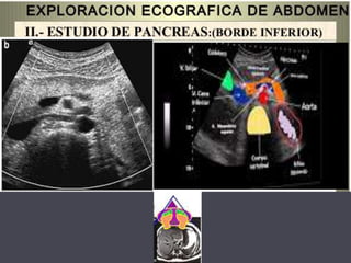 PLANTAS DE LOS CORTES TRANSVERSALES
 Vamos a visitar 6 plantas:
5.- Arteria mesentérica superior
 