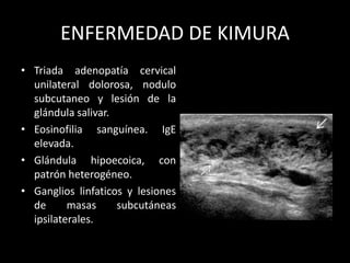 ENFERMEDAD DE KIMURA
• Triada adenopatía cervical
unilateral dolorosa, nodulo
subcutaneo y lesión de la
glándula salivar.
• Eosinofilia sanguínea. IgE
elevada.
• Glándula hipoecoica, con
patrón heterogéneo.
• Ganglios linfaticos y lesiones
de masas subcutáneas
ipsilaterales.
 
