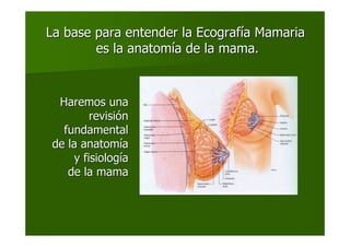 La base para entender la EcografLa base para entender la Ecografíía Mamariaa Mamaria
es la anatomes la anatomíía de la mama.a de la mama.
Haremos unaHaremos una
revisirevisióónn
fundamentalfundamental
de la anatomde la anatomííaa
y fisiology fisiologííaa
de la mamade la mama
 