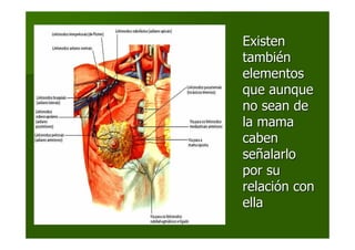 ExistenExisten
tambitambiéénn
elementoselementos
que aunqueque aunque
no sean deno sean de
la mamala mama
cabencaben
seseññalarloalarlo
por supor su
relacirelacióón conn con
ellaella
 