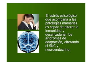 El estrEl estréés psicols psicolóógicogico
que acompaque acompañña a lasa a las
patologpatologíías mamariasas mamarias
es capaz de alterar laes capaz de alterar la
inmunidad yinmunidad y
desencadenar losdesencadenar los
ssííndromes dendromes de
adaptaciadaptacióón, alterandon, alterando
el SNC yel SNC y
neuroendocrino.neuroendocrino.
 