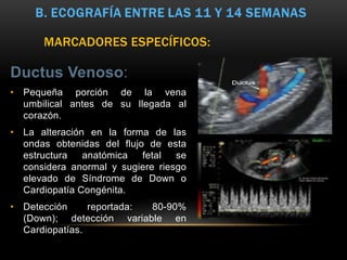 Ductus Venoso:
• Pequeña porción de la vena
umbilical antes de su llegada al
corazón.
• La alteración en la forma de las
ondas obtenidas del flujo de esta
estructura anatómica fetal se
considera anormal y sugiere riesgo
elevado de Síndrome de Down o
Cardiopatía Congénita.
• Detección reportada: 80-90%
(Down); detección variable en
Cardiopatías.
MARCADORES ESPECÍFICOS:
 
