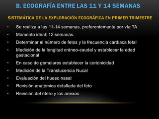 SISTEMÁTICA DE LA EXPLORACIÓN ECOGRÁFICA EN PRIMER TRIMESTRE
• Se realiza a las 11-14 semanas, preferentemente por vía TA.
• Momento ideal: 12 semanas.
• Determinar el número de fetos y la frecuencia cardiaca fetal
• Medición de la longitud cráneo-caudal y establecer la edad
gestacional
• En caso de gemelares establecer la corionicidad
• Medición de la Translucencia Nucal
• Evaluación del hueso nasal
• Revisión anatómica detallada del feto
• Revisión del útero y los anexos
 