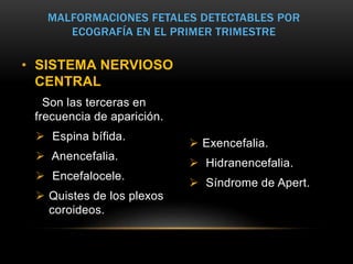 • SISTEMA NERVIOSO
CENTRAL
Son las terceras en
frecuencia de aparición.
 Espina bífida.
 Anencefalia.
 Encefalocele.
 Quistes de los plexos
coroideos.
 Exencefalia.
 Hidranencefalia.
 Síndrome de Apert.
MALFORMACIONES FETALES DETECTABLES POR
ECOGRAFÍA EN EL PRIMER TRIMESTRE
 