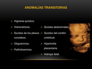  Higroma quístico.
 Hidronefrosis.
 Quistes de los plexos
coroideos.
 Oligoamnios.
 Polihidramnios.
 Quistes abdominales.
 Quistes del cordón
umbilical.
 Hipertrofia
placentaria.
 Hidrops fetal.
ANOMALÍAS TRANSITORIAS
 