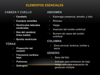 ELEMENTOS ESENCIALES
CABEZA Y CUELLO
• Cerebelo
• Cuerpos coroides
• Ventrículos laterales
cerebrales
• Hoz del cerebro(
línea media)
• Quinto ventrículo
TÓRAX
• Proyección del
corazón
• Frecuencia cardiaca
fetal.
• Pulmones
• Diafragma
ABDOMEN
• Estomago presencia, tamaño, y sitio
• Riñones
• Vejiga
• Inserción del cordón umbilical
• Numero de vasos del cordón
umbilical
COLUMNA
• Zona cervical, torácica, lumbar y
sacra
GENERO
• Sexo del feto
• Indicado para embarazo de bajo
riesgo solo para evaluación de
gestación múltiple
 