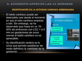 IDENTIFICACIÓN DE LA ACTIVIDAD CARDIACA EMBRIONARIA
• El latido cardíaco puede ser
detectable casi desde el momento
en que el tubo cardíaco empieza
a latir. Sin embargo, se ha
observado que hasta en un 10-
20% de embriones con LCC < a 5
mm en gestaciones de curso
normal el latido cardíaco no es
apreciable.
• Su identificación certera es lo
único que permite establecer de
modo definitivo la viabilidad de la
gestación.
 