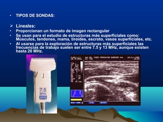 • TIPOS DE SONDAS:
 Lineales:
• Proporcionan un formato de imagen rectangular
• Se usan para el estudio de estructuras más superficiales como:
Músculos, tendones, mama, tiroides, escroto, vasos superficiales, etc.
• Al usarse para la exploración de estructuras más superficiales las
frecuencias de trabajo suelen ser entre 7.5 y 13 MHz, aunque existen
hasta 20 MHz.
 