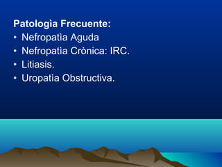Patologìa Frecuente:
• Nefropatìa Aguda
• Nefropatìa Crònica: IRC.
• Litiasis.
• Uropatìa Obstructiva.
 