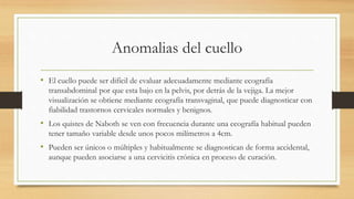 Anomalias del cuello
• El cuello puede ser difícil de evaluar adecuadamente mediante ecografía
transabdominal por que esta bajo en la pelvis, por detrás de la vejiga. La mejor
visualización se obtiene mediante ecografía transvaginal, que puede diagnosticar con
fiabilidad trastornos cervicales normales y benignos.
• Los quistes de Naboth se ven con frecuencia durante una ecografía habitual pueden
tener tamaño variable desde unos pocos milímetros a 4cm.
• Pueden ser únicos o múltiples y habitualmente se diagnostican de forma accidental,
aunque pueden asociarse a una cervicitis crónica en proceso de curación.
 