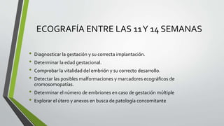 ECOGRAFÍA ENTRE LAS 11Y 14 SEMANAS
• Diagnosticar la gestación y su correcta implantación.
• Determinar la edad gestacional.
• Comprobar la vitalidad del embrión y su correcto desarrollo.
• Detectar las posibles malformaciones y marcadores ecográficos de
cromosomopatías.
• Determinar el número de embriones en caso de gestación múltiple
• Explorar el útero y anexos en busca de patología concomitante
 