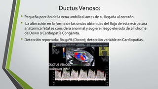 DuctusVenoso:
• Pequeña porción de la vena umbilical antes de su llegada al corazón.
• La alteración en la forma de las ondas obtenidas del flujo de esta estructura
anatómica fetal se considera anormal y sugiere riesgo elevado de Síndrome
de Down o Cardiopatía Congénita.
• Detección reportada: 80-90% (Down); detección variable en Cardiopatías.
 
