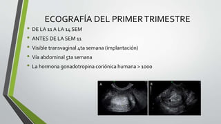 ECOGRAFÍA DEL PRIMERTRIMESTRE
• DE LA 11 A LA 14 SEM
• ANTES DE LA SEM 11
• Visible transvaginal 4ta semana (implantación)
• Vía abdominal 5ta semana
• La hormona gonadotropina coriónica humana > 1000
 