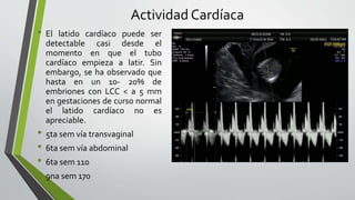 Actividad Cardíaca
• El latido cardíaco puede ser
detectable casi desde el
momento en que el tubo
cardíaco empieza a latir. Sin
embargo, se ha observado que
hasta en un 10- 20% de
embriones con LCC < a 5 mm
en gestaciones de curso normal
el latido cardíaco no es
apreciable.
• 5ta sem vía transvaginal
• 6ta sem vía abdominal
• 6ta sem 110
• 9na sem 170
 