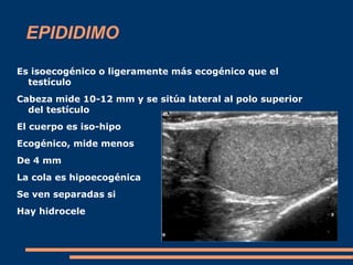 EPIDIDIMO
Es isoecogénico o ligeramente más ecogénico que el
testículo
Cabeza mide 10-12 mm y se sitúa lateral al polo superior
del testículo
El cuerpo es iso-hipo
Ecogénico, mide menos
De 4 mm
La cola es hipoecogénica
Se ven separadas si
Hay hidrocele
 