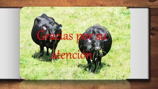Gracias por su
atención
 