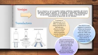 Ventajas No es invasiva y así se pueden realizar exámenes repetidos del tracto
reproductivo de un animal, sin perjudicar su potencial reproductivo y
sin causar efectos adversos en el embrión o feto. Esta característica
ha permitido el monitoreo a diario de ovarios y formación del
crecimiento y desarrollo de los folículos.
La primera es
frecuencia de 3 a 3.5
MHz, la calidad de la
imagen generada no es
adecuada para
observar al embrión
temprano ni para
observar pequeñas
vesículas foliculares
en los ovarios.
Para observar estas
imágenes es esencial el
utilizar una frecuencia
más elevada, por lo
menos de 5 MHz. Para
mejorar aún más la
calidad de la imagen, es
mejor utilizar un
transductor con una
frecuencia de 7.5MHz.
. Con una frecuencia de 3 a
3.5 MHz, la penetración es
de 12 a 15 cm o más. Esta
frecuencia puede ser
utilizada para observar
gestaciones más
avanzadas o bien
condiciones patológicas
tales como piometra o fetos
macerados/ momificados
Transductores
 