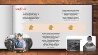 Beneficios
Es muy útil para determinar el
estado de gestación precoz, el
sexado de las crías y la
evaluación de las enfermedades
del sistema reproductor de las
vacas.
Es muy precisa en el diagnóstico
de la gestación porque realiza
una evaluación precoz y con alto
porcentaje de certeza (sobre
todo desde el día 23). Esto
permite al ganadero aumentar su
eficiencia reproductiva, ya que
puede programar en gran
medida las fechas de los partos
y la atención de las hembras
parturientas.
Permite determinar la presencia
de folículos anovulatorios y eso
es fundamental para decidir si se
efectúa la recolección de
ovocitos o embriones. Y se
pueden diagnosticar los quistes
ováricos que provocan que la
vaca no cicle normalmente.
 