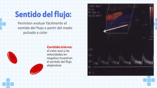 Sentido del flujo:
Permiten evaluar fácilmente el
sentido del flujo a partir del modo
pulsado y color
Carótida interna:
el color azul y las
velocidades en
negativo muestran
el sentido del flujo
alejándose
 