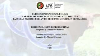 UNIVERSIDAD NACIONAL DE LOJA
CARRERA DE MEDICINA VETERINARIA Y ZOOTECNIA
FACULTAD AGROPECUARIAY DE RECURSOS NATURALES RENOVABLES
BIOTECNOLOGÍAS REPRODUCTIVAS
Ecografía y Evaluación Seminal
Docente: Luis Miguel Flores Castillo
Docente: Dr. Manuel Quezada
AÑO
2021
 