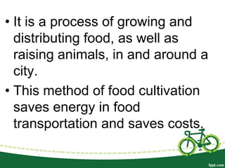 • It is a process of growing and
  distributing food, as well as
  raising animals, in and around a
  city.
• This method of food cultivation
  saves energy in food
  transportation and saves costs.
 