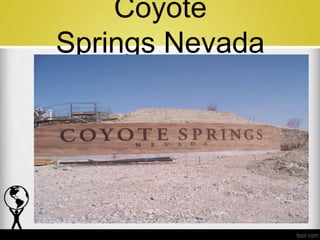 Coyote
Springs Nevada
 