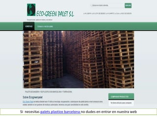 Si necesitas palets plastico barcelona no dudes en entrar en nuestra web
 