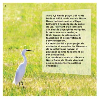 2
Avec 4,5 km de plage, 361 ha de
forêt et 1 454 ha de marais, Notre
Dame de Monts est un village
balnéaire à l’excellence du cadre
de vie. Proﬁtant d’un territoire
aux entités paysagères marquées,
la commune a su marier, au
ﬁl du temps, développement
touristique et préservation de
l’environnement.
La municipalité a pour projet de
conforter et valoriser les éléments
de ce patrimoine naturel et
paysager comme fondement de
son attractivité.
Les nombreux labels attribués à
Notre Dame de Monts viennent
ainsi récompenser les actions
engagées.
2
 