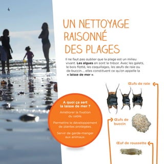4
Un nettoyage
raisonné
des plages
Il ne faut pas oublier que la plage est un milieu
vivant. Les algues en sont le trésor. Avec les galets,
le bois ﬂotté, les coquillages, les œufs de raie ou
de buccin…, elles constituent ce qu’on appelle la
« laisse de mer ».
Œufs de raie
Œufs de
buccin
Œuf de roussette
A quoi ça sert
la laisse de mer ?
Améliorer la ﬁxation
du sable.
Permettre le développement
de plantes protégées.
Servir de garde-manger
aux animaux.
 