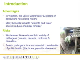 Interdisciplinary approach to environmental health research related to wastewater and excreta use in agriculture in Vietnam