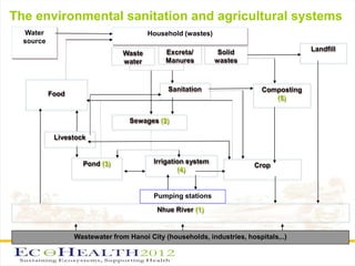 Interdisciplinary approach to environmental health research related to wastewater and excreta use in agriculture in Vietnam