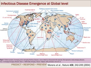 South East Asia One Health University Network (SEAOHUN): A regional network for One Health capacity building