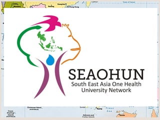 South East Asia One Health University Network (SEAOHUN): A regional network for One Health capacity building