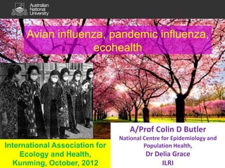 Avian influenza, pandemic influenza,
                   ecohealth




                                   A/Prof Colin D Butler
                                National Centre for Epidemiology and
International Association for            Population Health,
     Ecology and Health,                 Dr Delia Grace
  Kunming, October, 2012                      ILRI
 