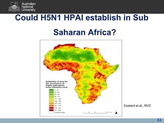 Avian influenza, pandemic influenza, ecohealth