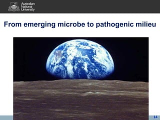 Avian influenza, pandemic influenza, ecohealth