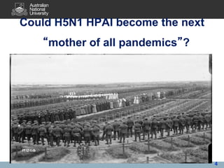 Avian influenza, pandemic influenza, ecohealth
