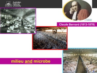 Avian influenza, pandemic influenza, ecohealth