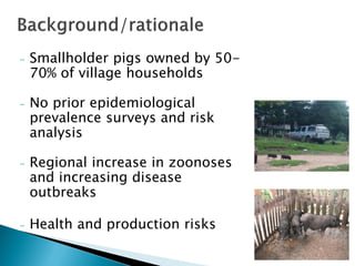 A participatory Ecohealth study of smallholder pig system in upland and lowland of Lao PDR