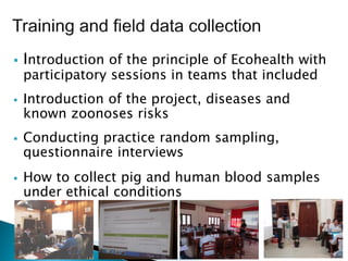 A participatory Ecohealth study of smallholder pig system in upland and lowland of Lao PDR