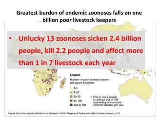 Mapping the interface of poverty, emerging markets and zoonoses